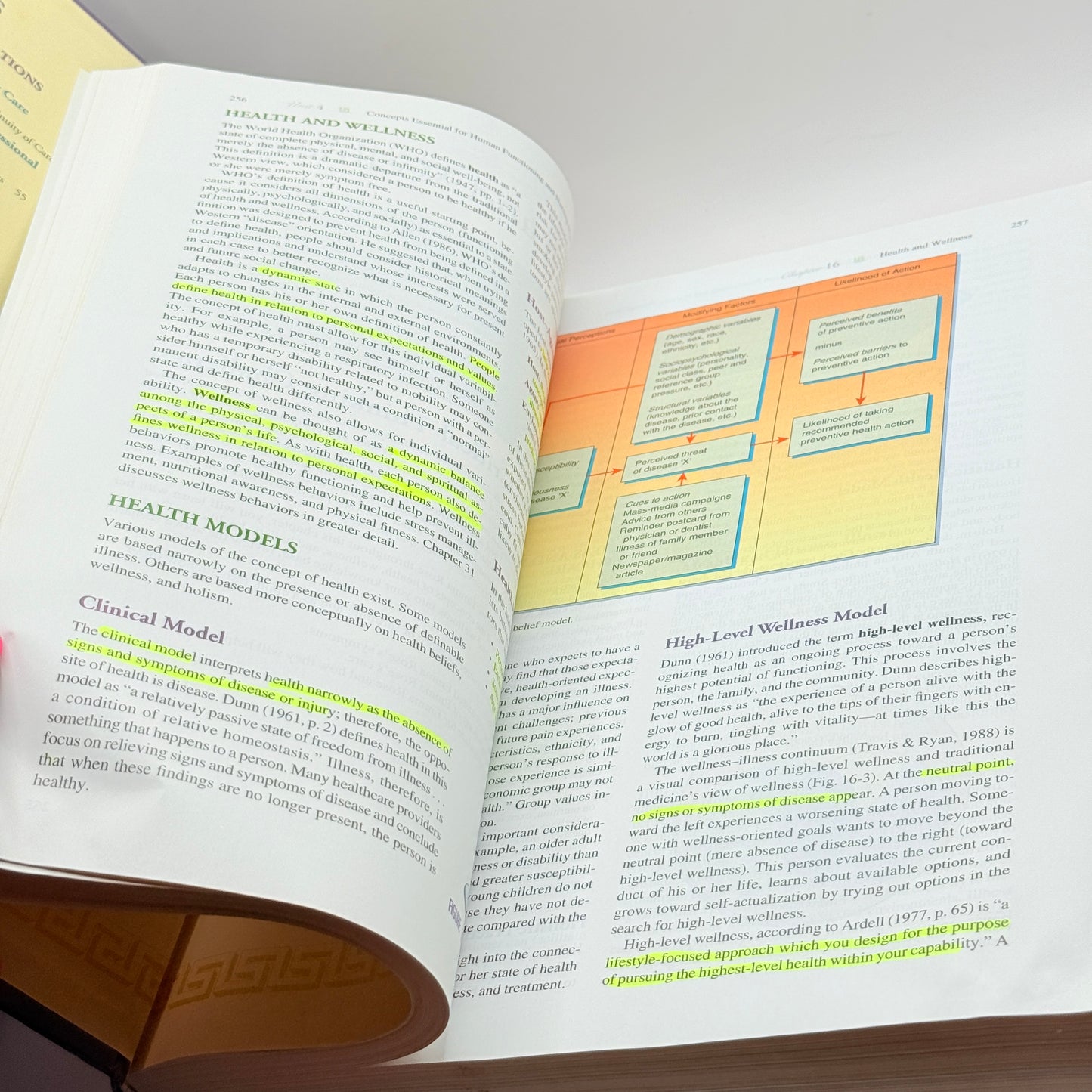 Fundamentals of Nursing: Human Health and Function by Ruth F. Craven and Constance J. Hirnle