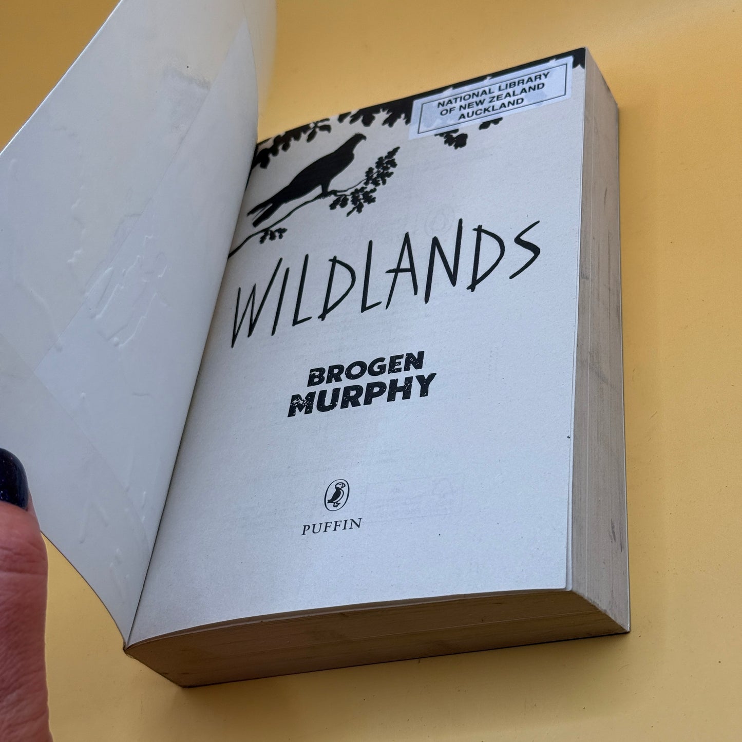 Wildlands by Brogen Murphy