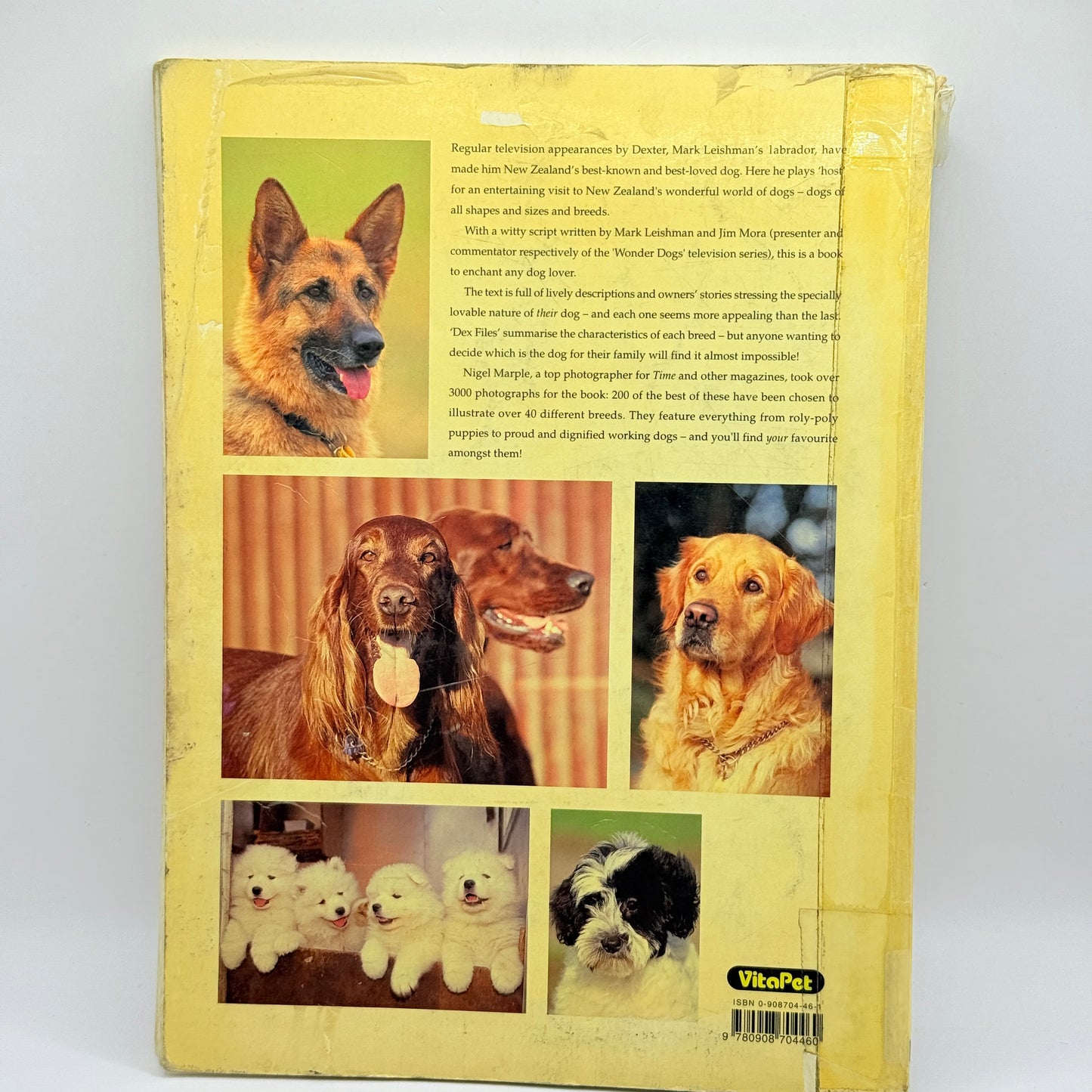 Dexter & Friends by Mark Leishman & Jim Mora