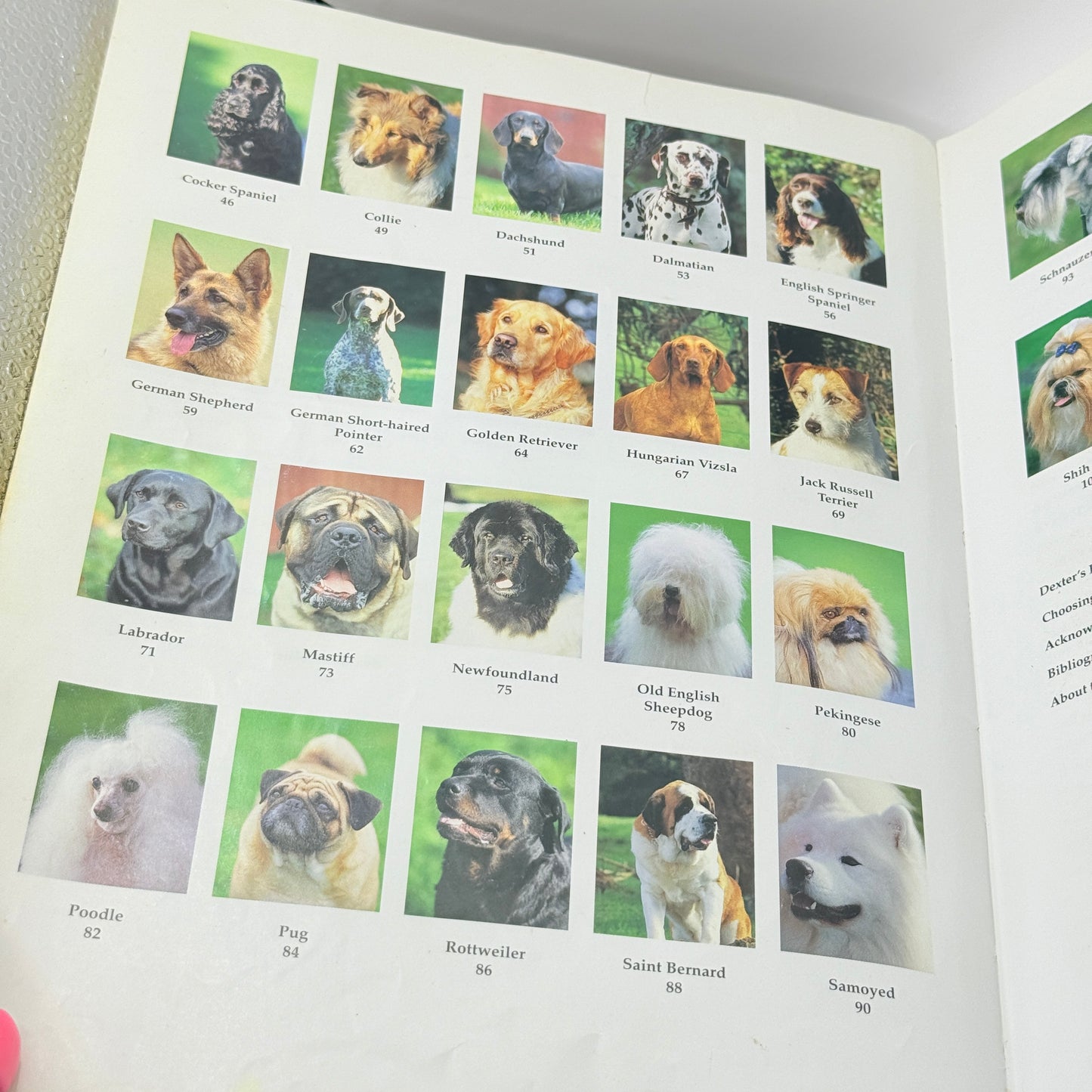 Dexter & Friends by Mark Leishman & Jim Mora