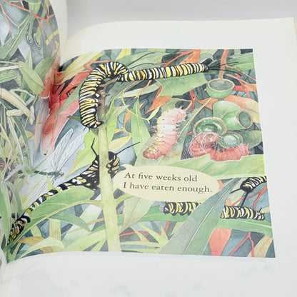 What will I be? by David Drew and Veronica Oborn