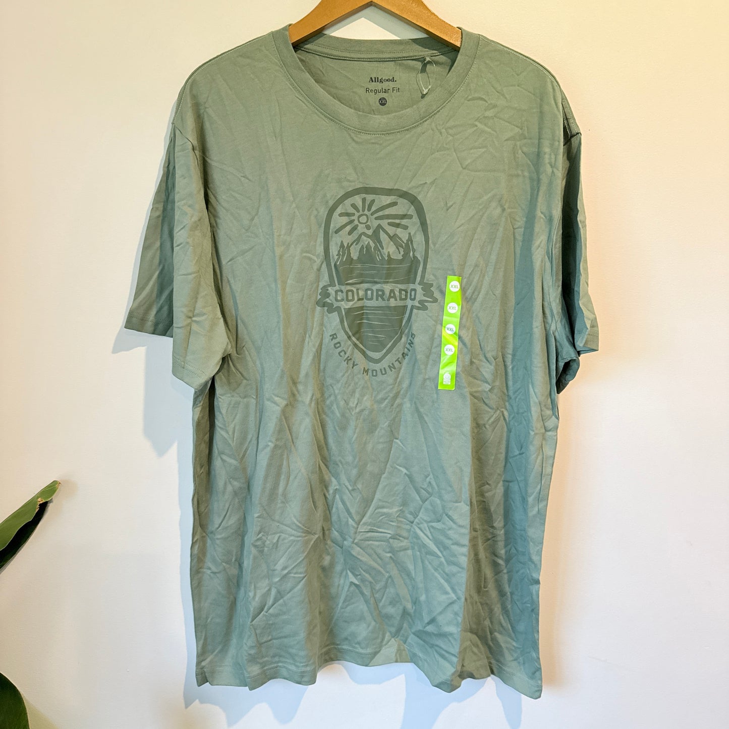 Allgood Men's Colorado Graphic T-Shirt Sage Green Size XXL
