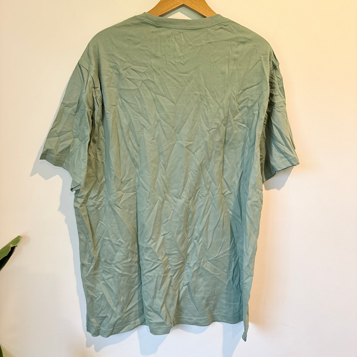 Allgood Men's Colorado Graphic T-Shirt Sage Green Size XXL