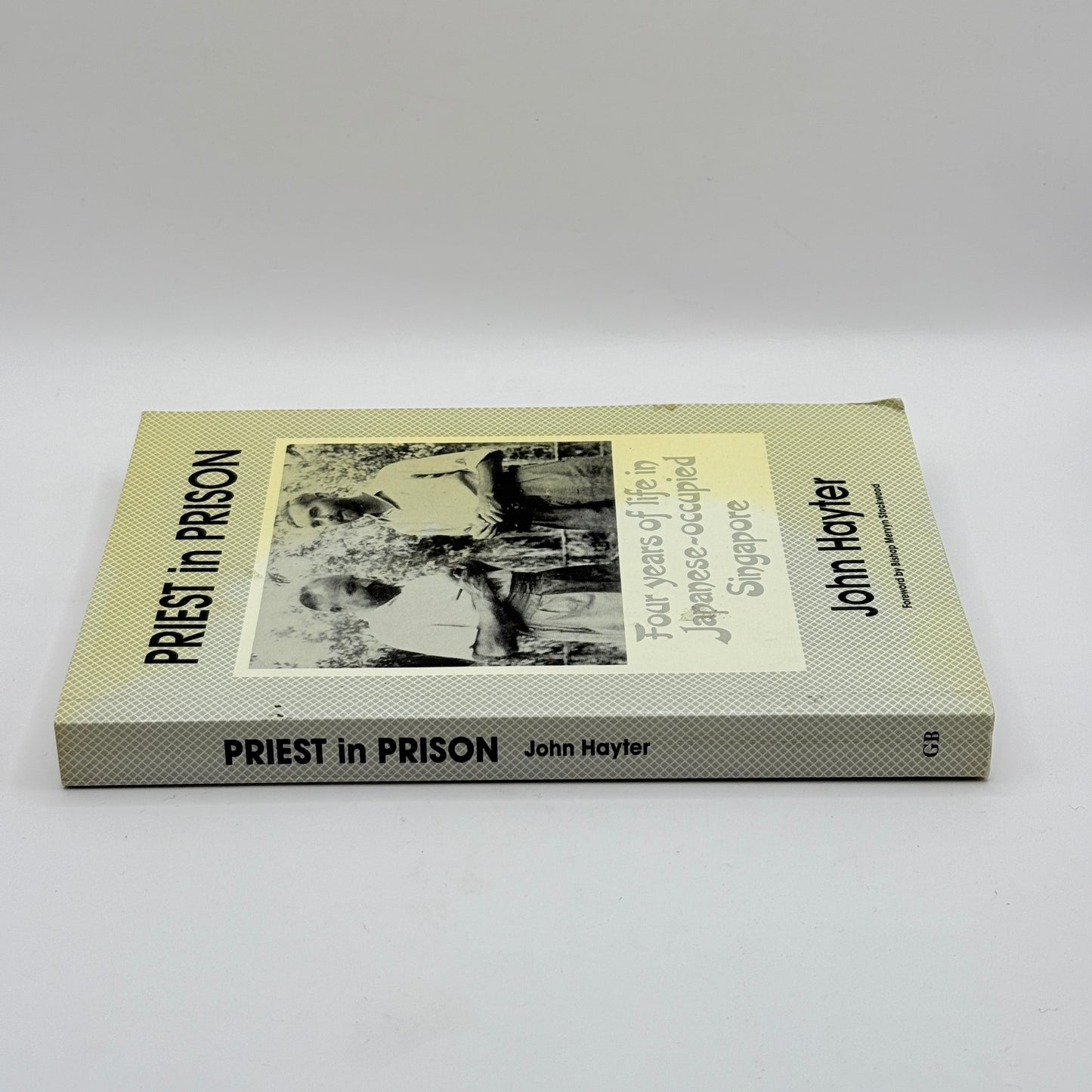 Priest in Prison by John Hayter