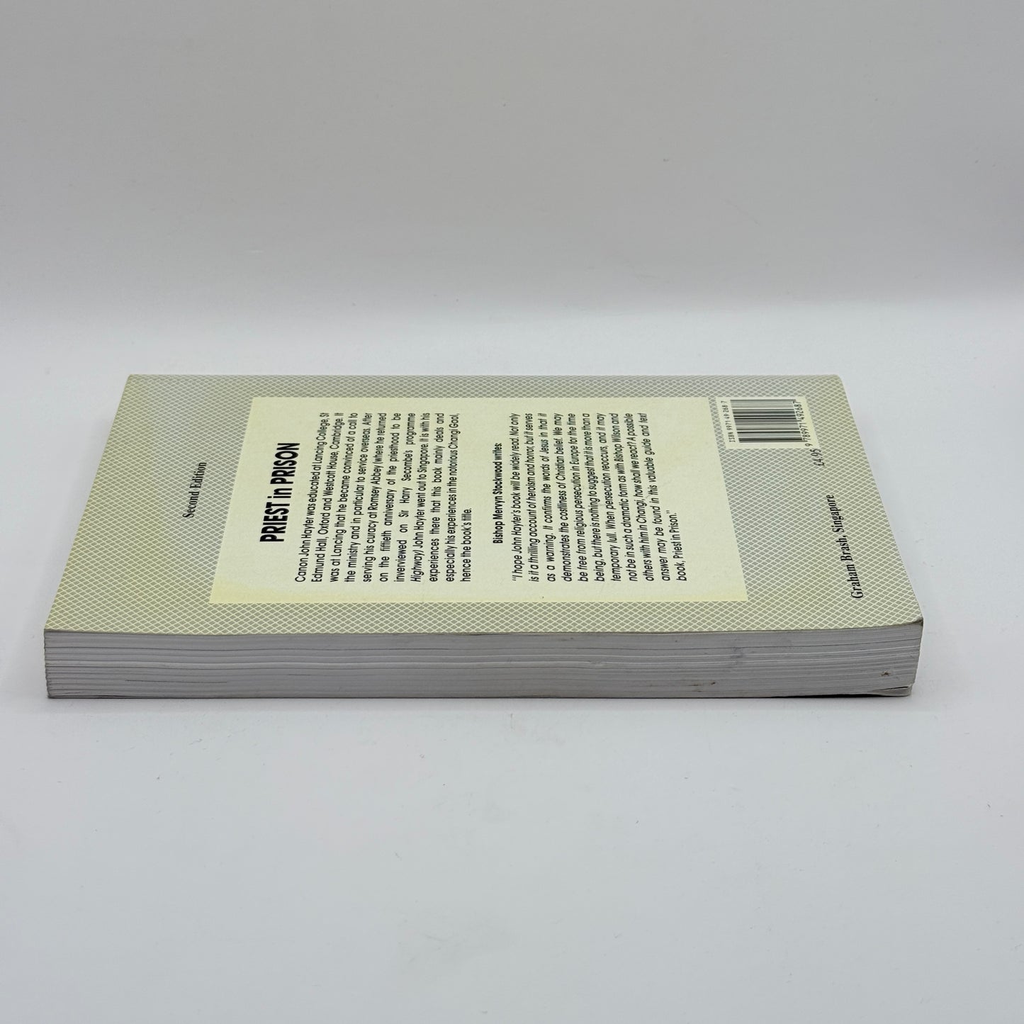 Priest in Prison by John Hayter