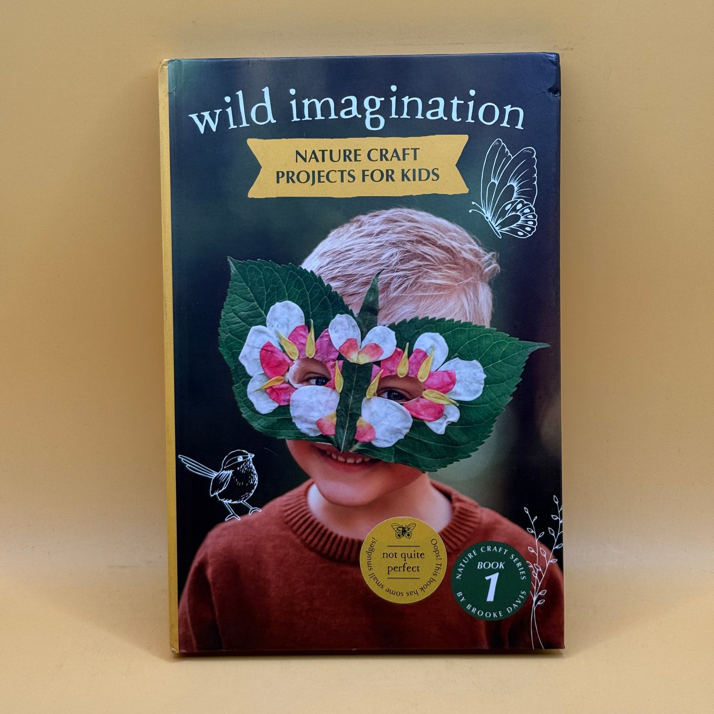 Wild Imagination: Nature Craft Projects for Kids by Brooke Davis