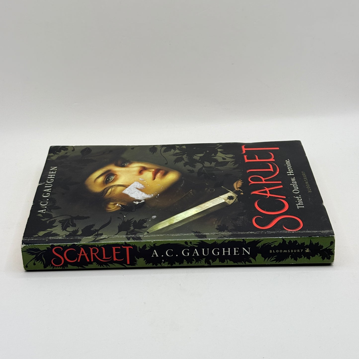 Scarlet by A.C. Gaughen