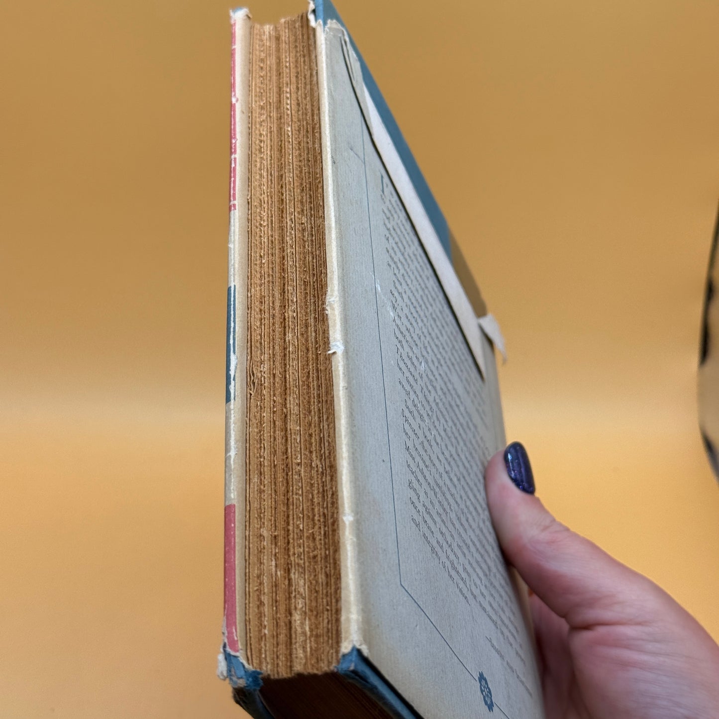 Spinster by Sylvia Ashton-Warner - FIRST EDITION 1958