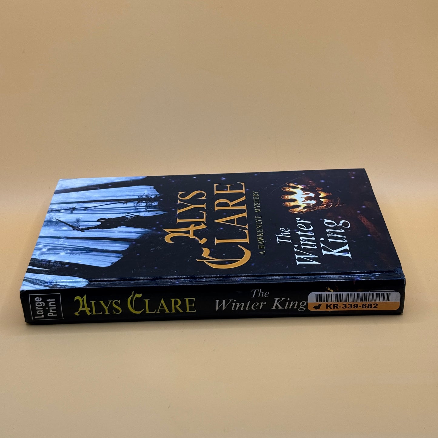 The Winter King by Alys Clare