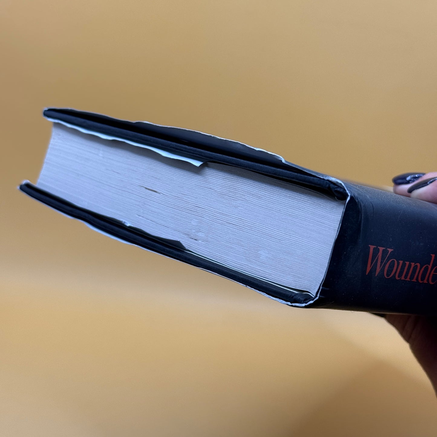 Wounded Shepherd: Pope Francis and His Struggle to Convert the Catholic Church by Austen Ivereigh