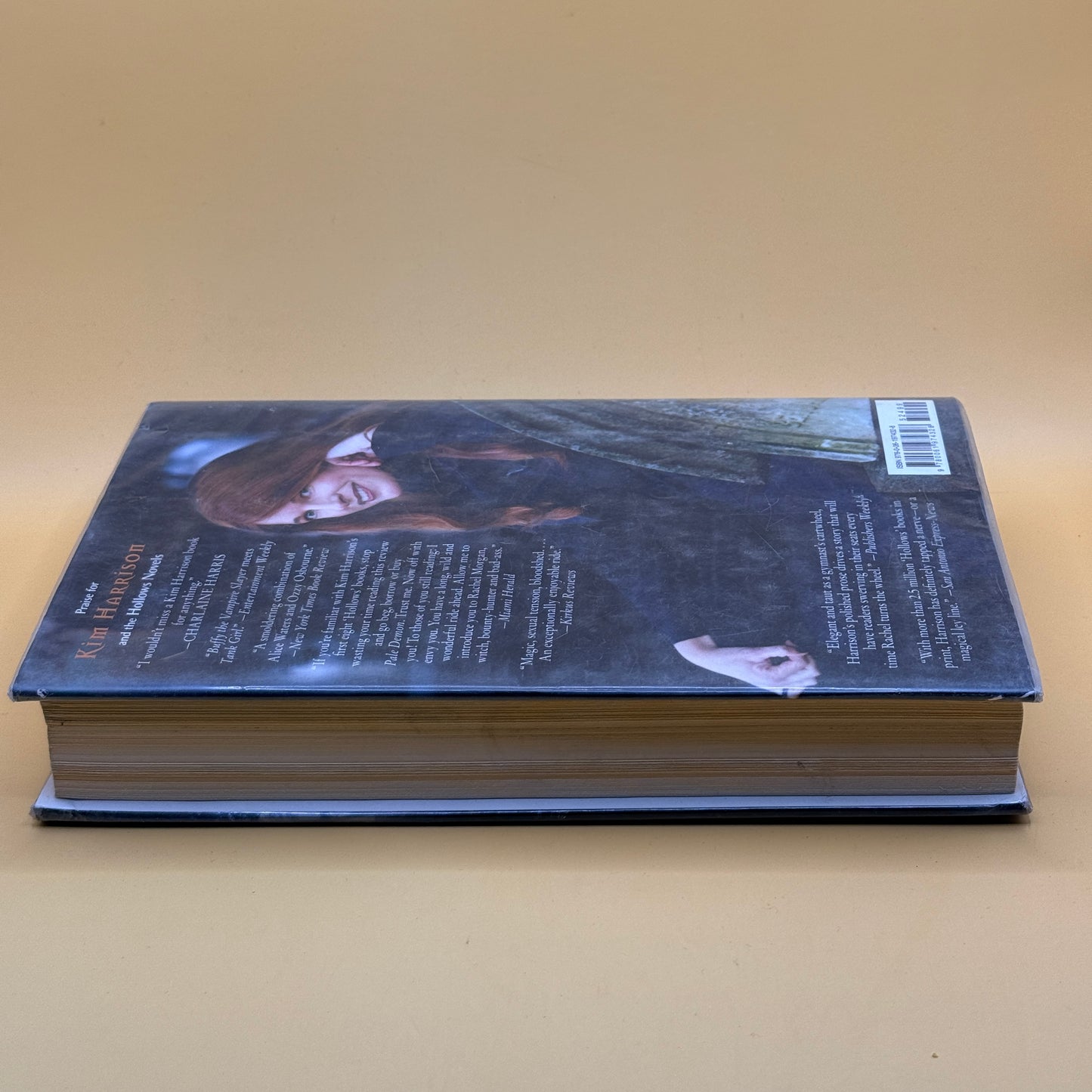 Into the Woods: Tales from the Hollows and Beyond by Kim Harrison