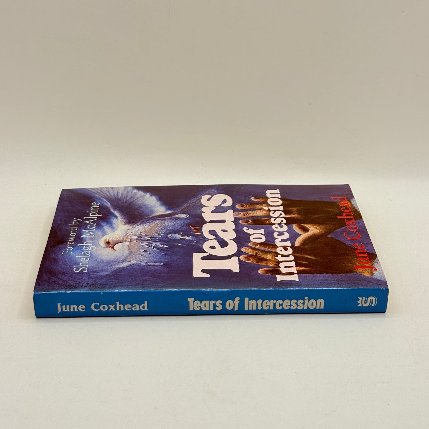 Tears of Intercession by June Coxhead