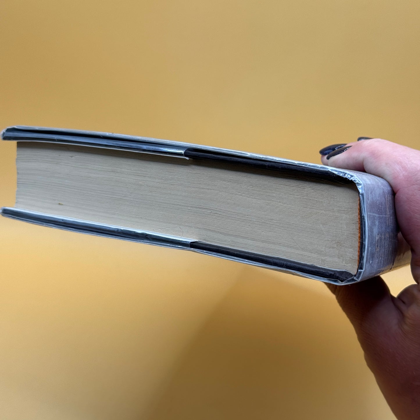 Into the Woods: Tales from the Hollows and Beyond by Kim Harrison