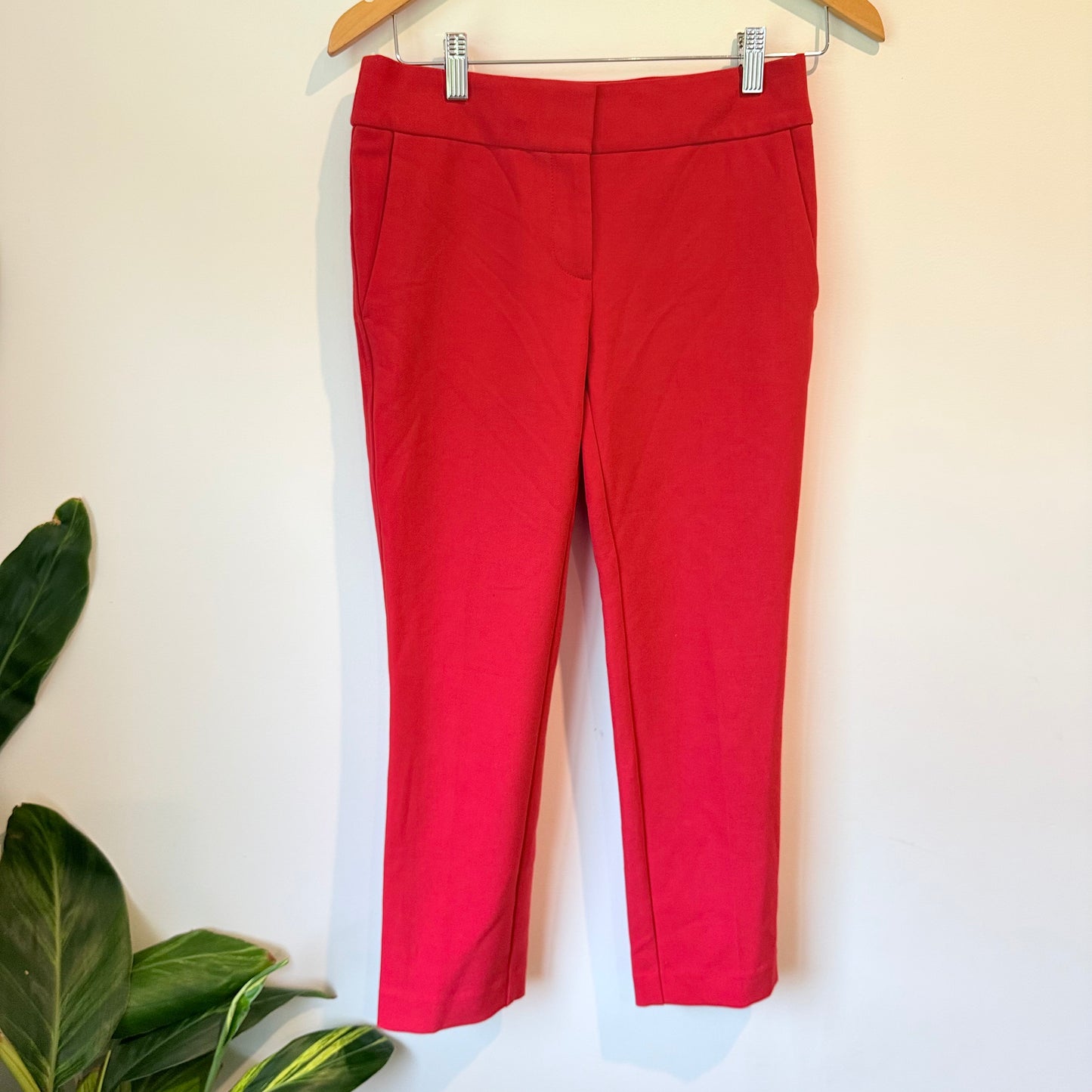 LOFT Petities Size 30 Pants