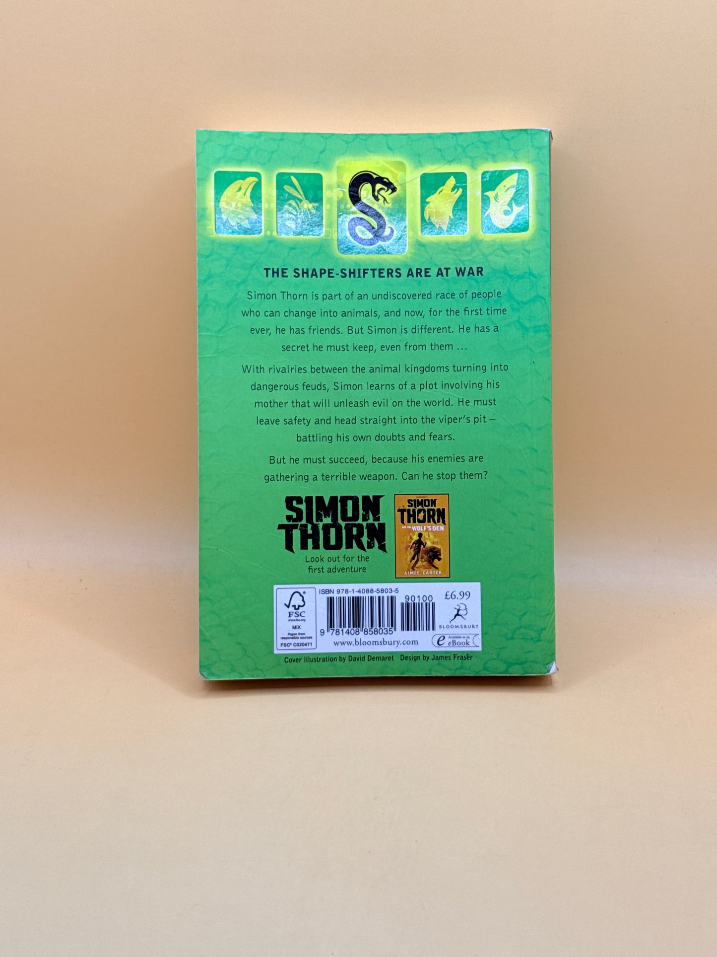 Simon Thorn and the Viper’s Pit by Aimée Carter