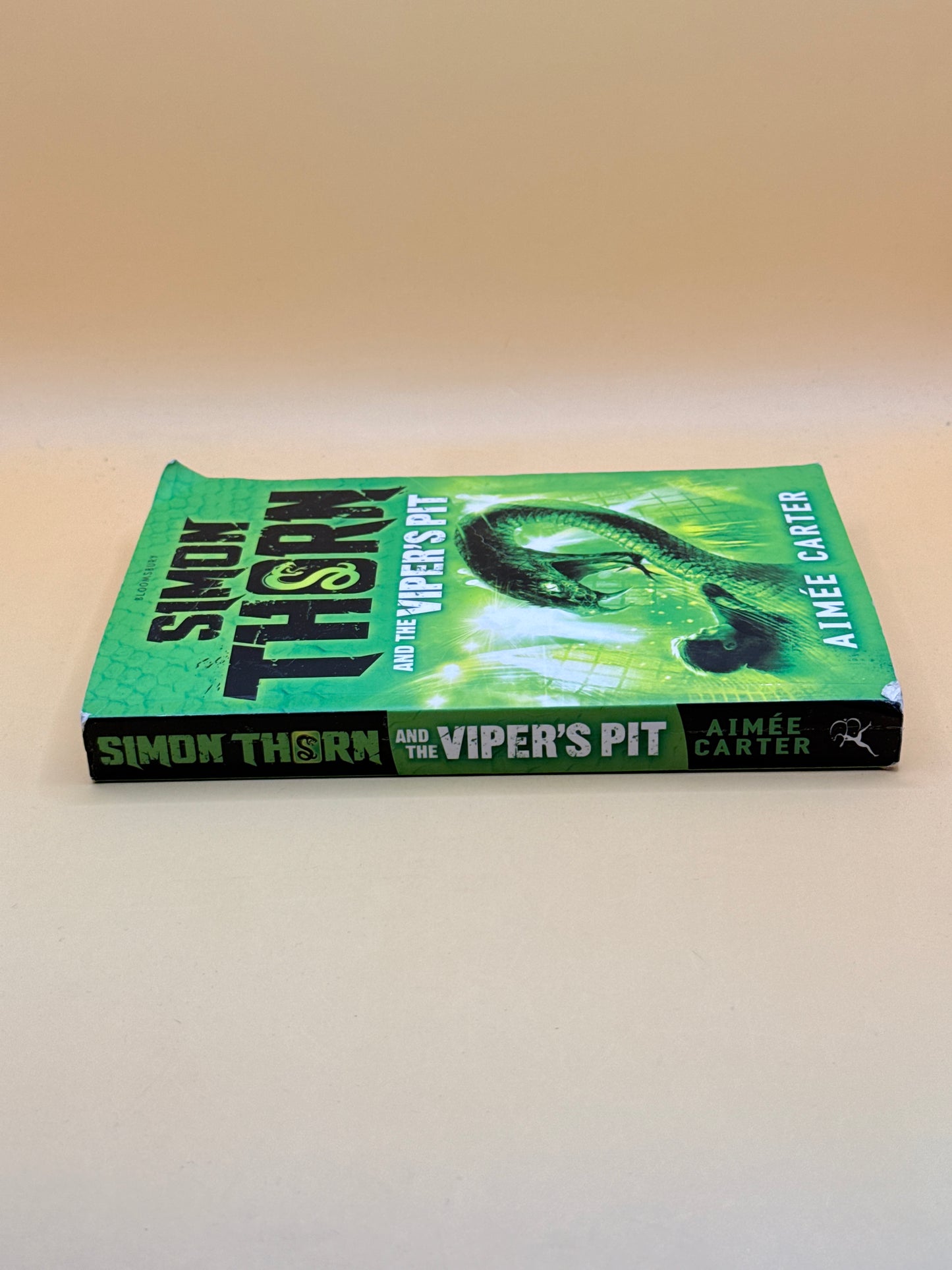 Simon Thorn and the Viper’s Pit by Aimée Carter