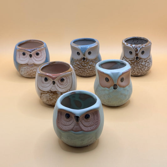 Ceramic Owl Plant Pot Set