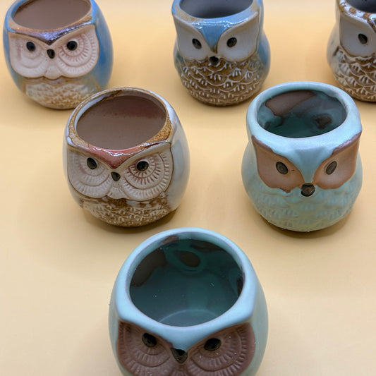 Ceramic Owl Plant Pot Set