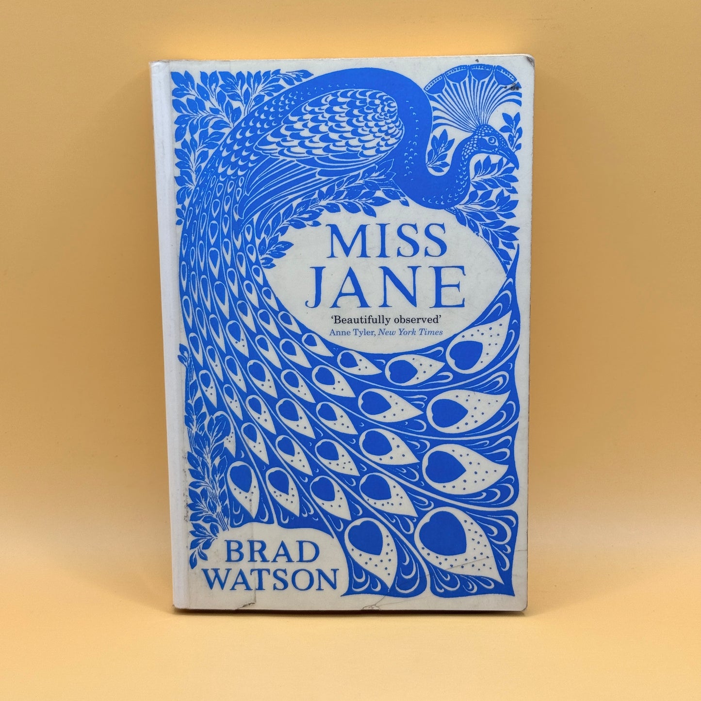 Miss Jane by Brad Watson