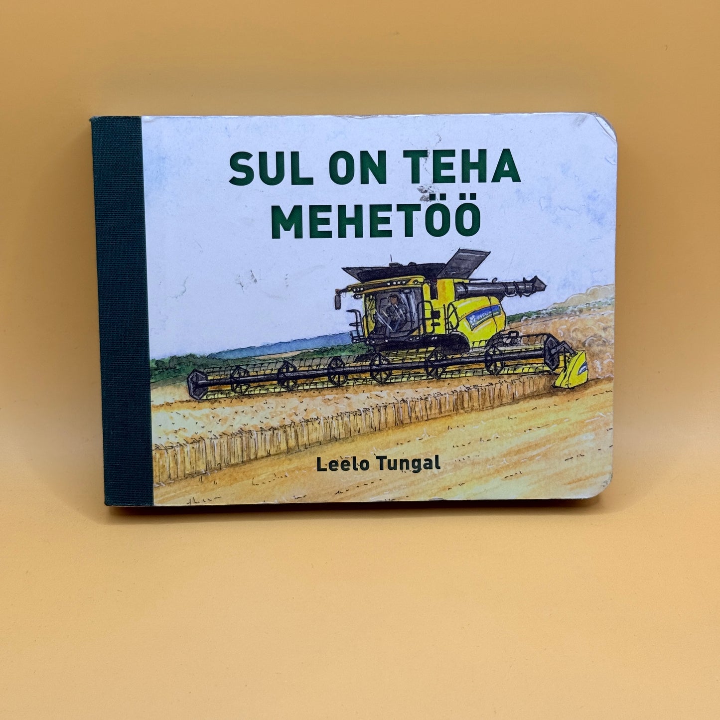 Sul on teha meetööd by Leelo Tungal - Estonian Edition