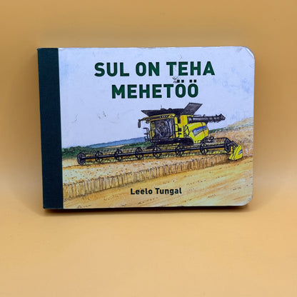 Sul on teha meetööd by Leelo Tungal - Estonian Edition