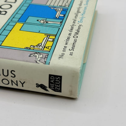 The Ministry of Bodies by Seamus O'Mahony