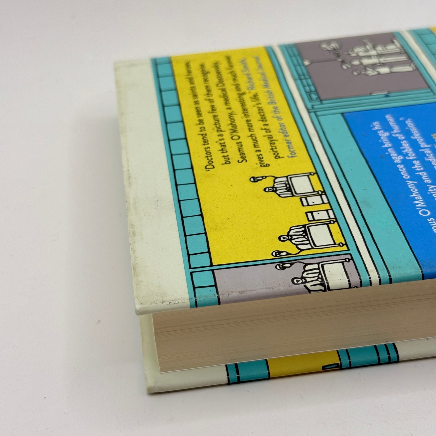 The Ministry of Bodies by Seamus O'Mahony