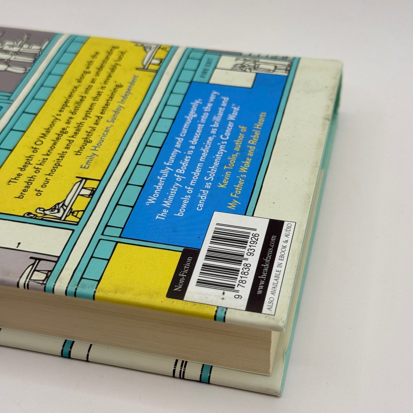 The Ministry of Bodies by Seamus O'Mahony