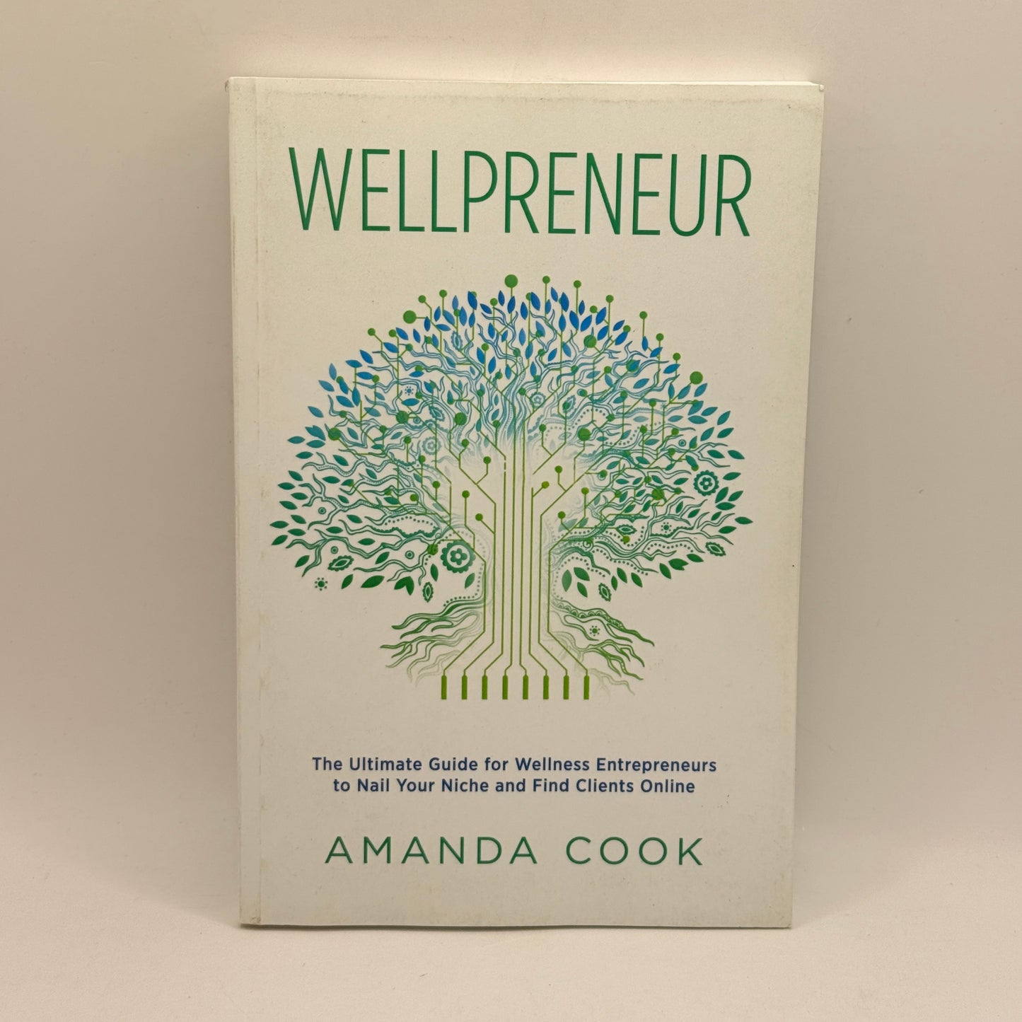 Wellpreneur by Amanda Cook