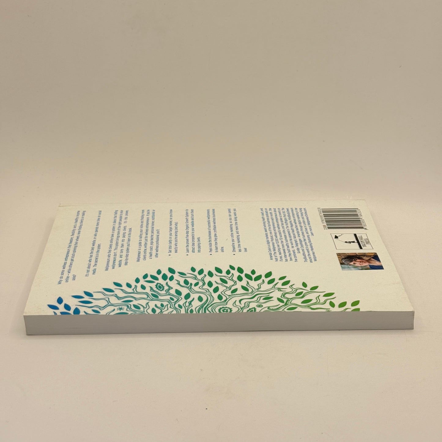 Wellpreneur by Amanda Cook