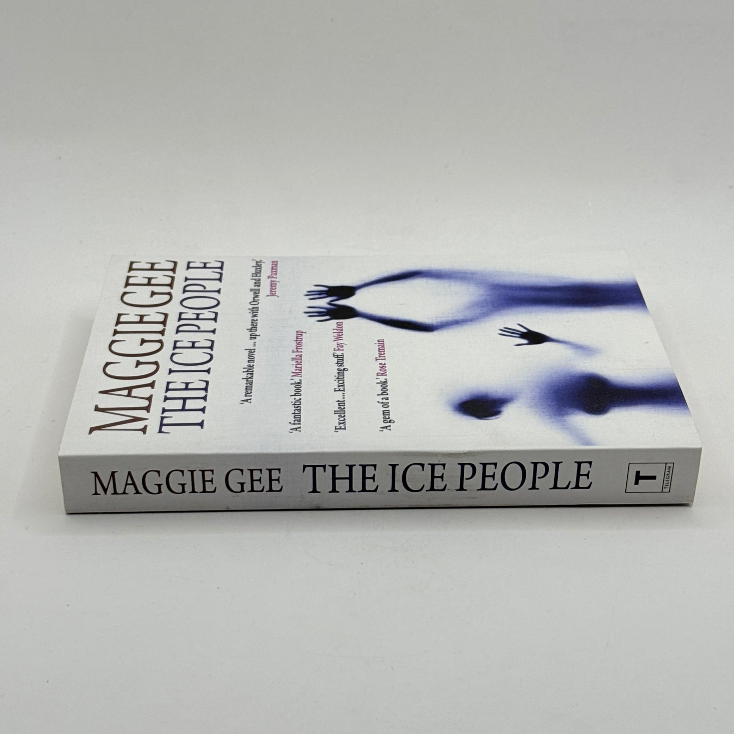The Ice People by Maggie Gee