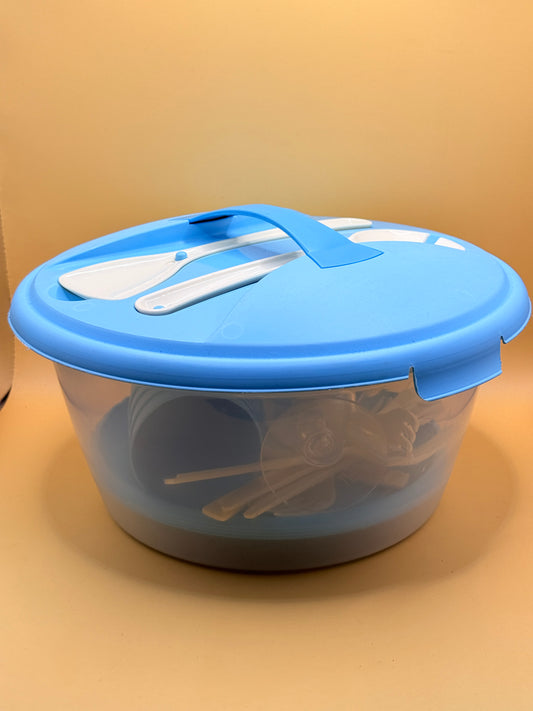 Blue Picnic Dinnerware Set with Storage Container