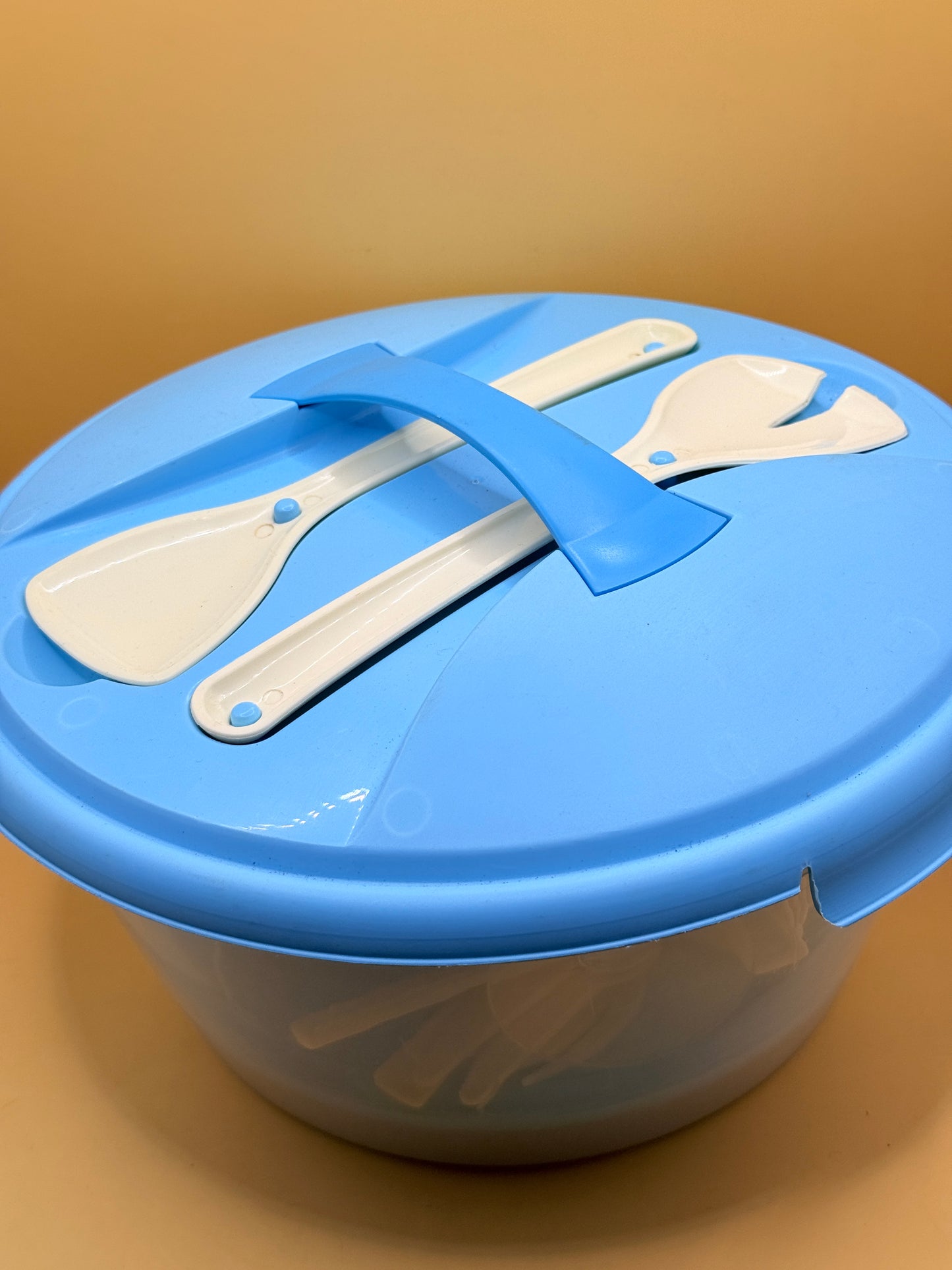 Blue Picnic Dinnerware Set with Storage Container