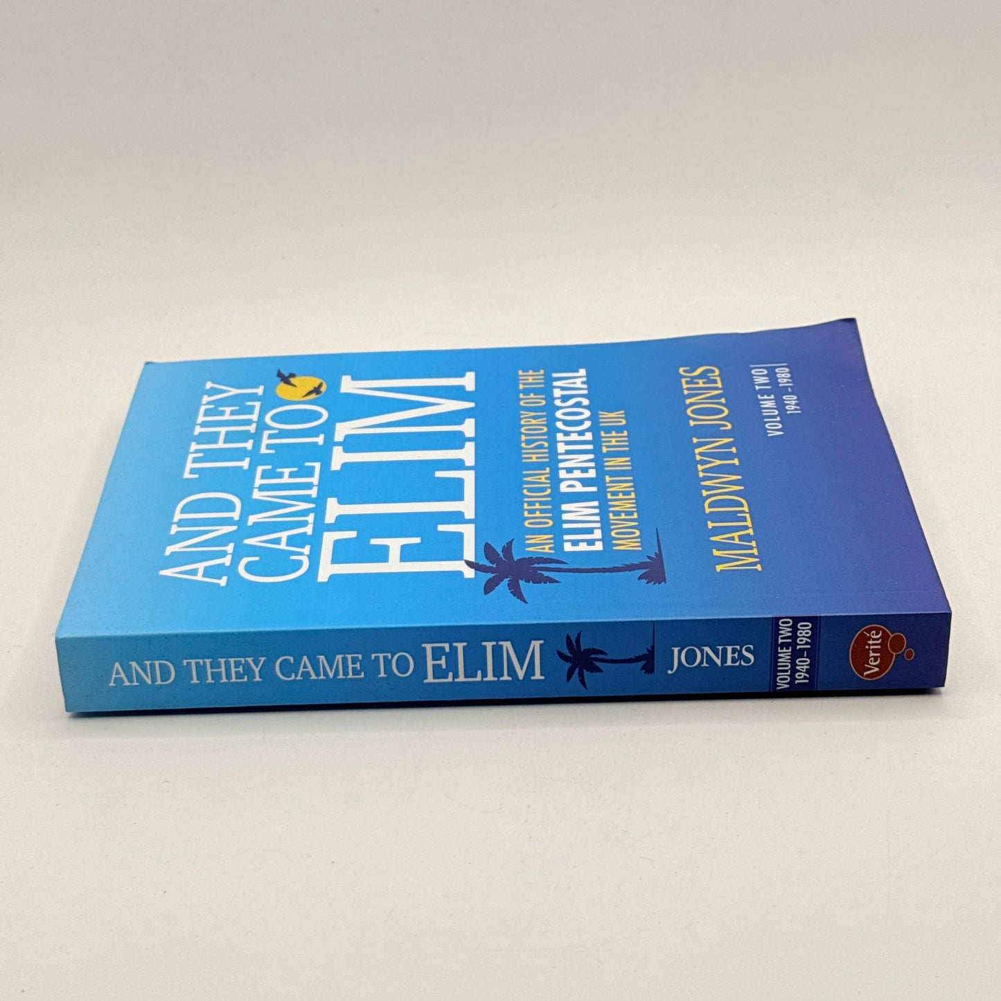 And They Came to Elim by Maldwyn Jones