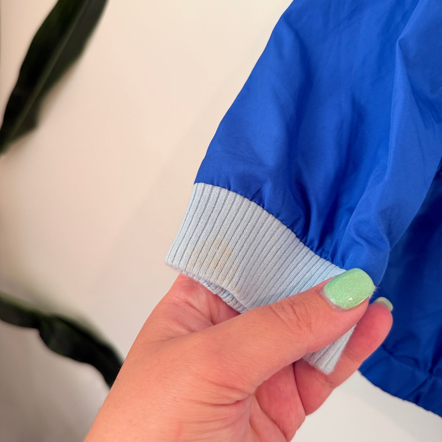 Seed Size 9 Kids Dinosaur Windbreaker Jacket