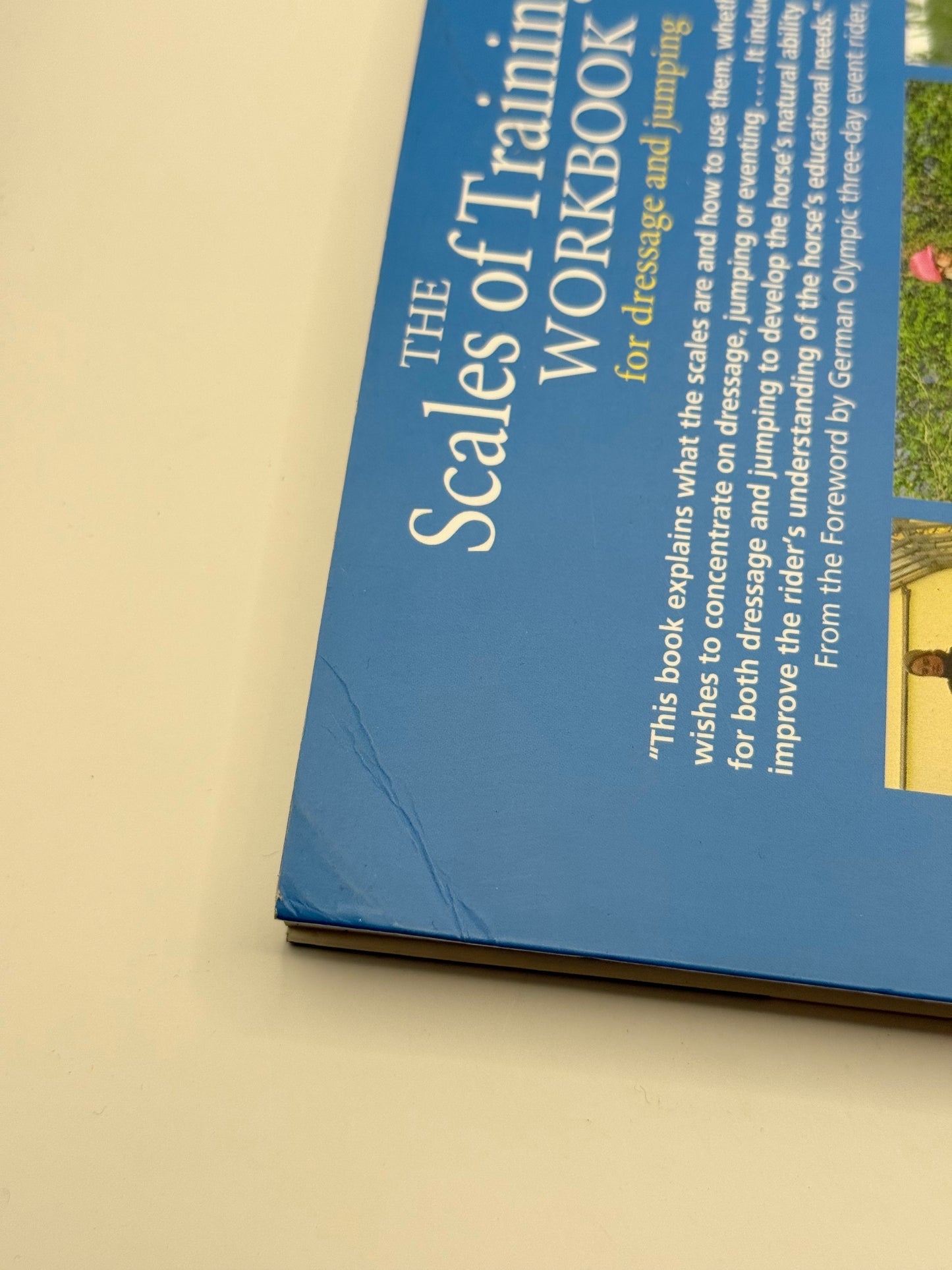 The scales of training workbook for dressage and jumping by claire lilley - print books printed media