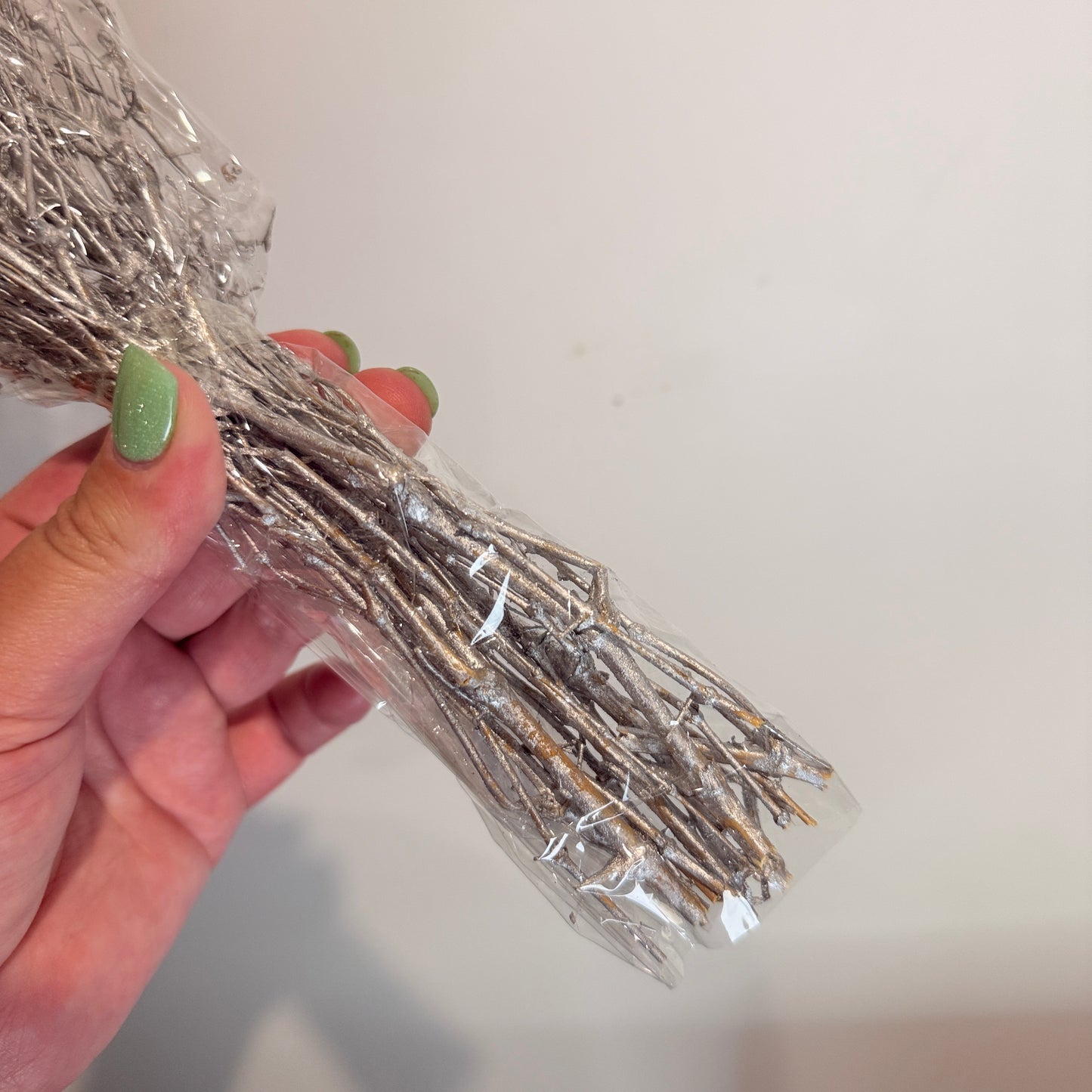 Silver Decorative Dried Stems