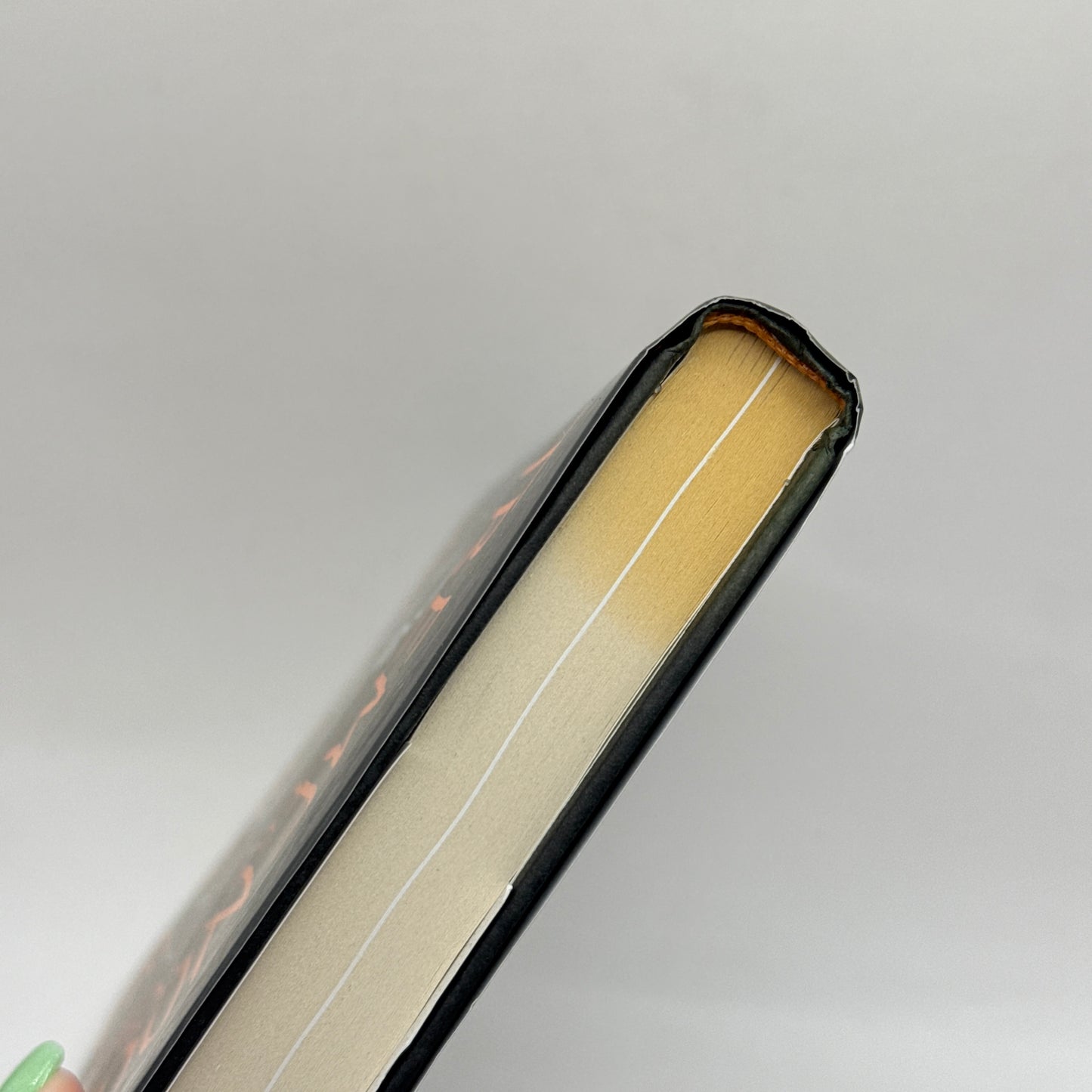 Tremendous: The Life of a Comedy Savage by Joey Diaz with Erica Florentine