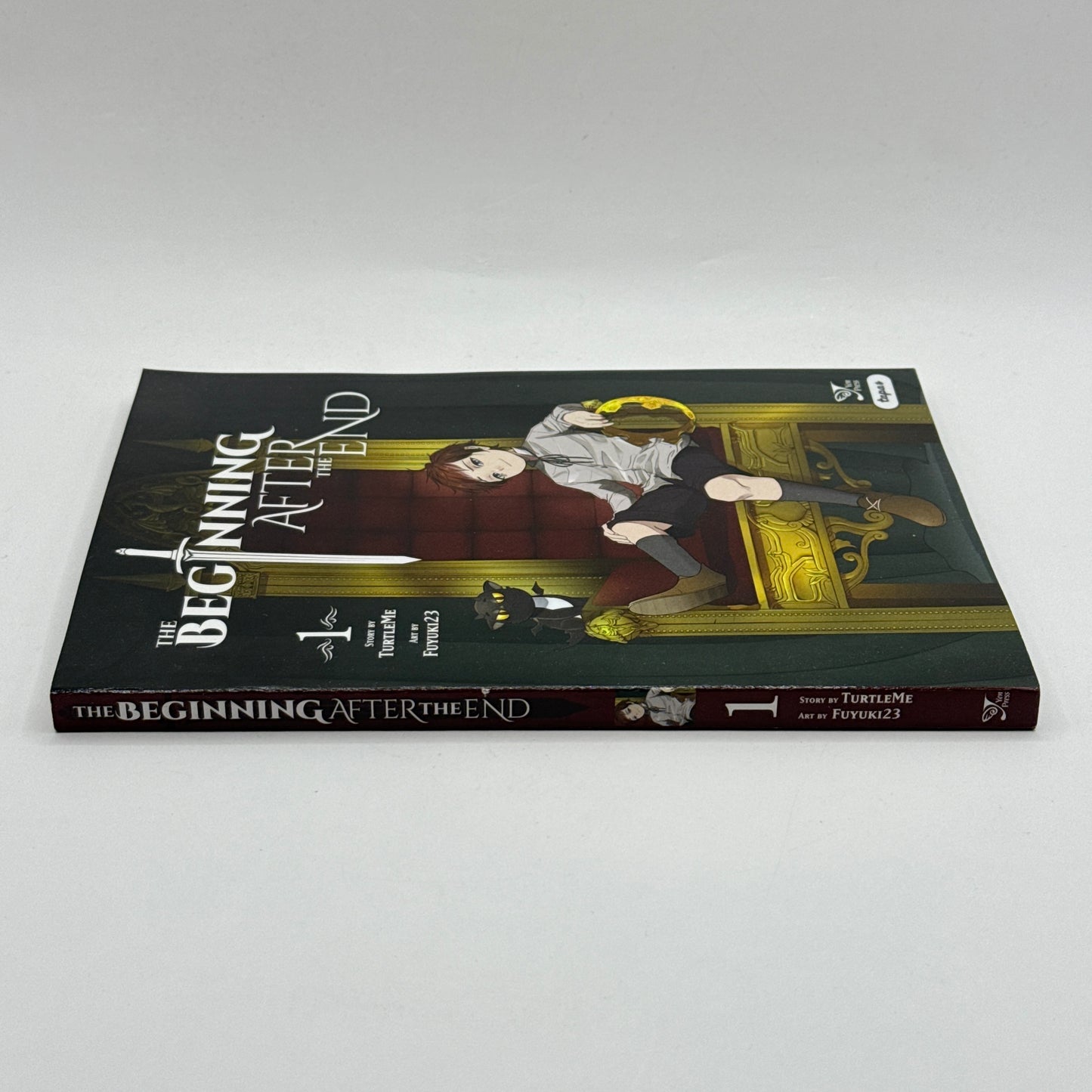 The Beginning After the End, Vol. 1 by TurtleMe & Fuyuki23