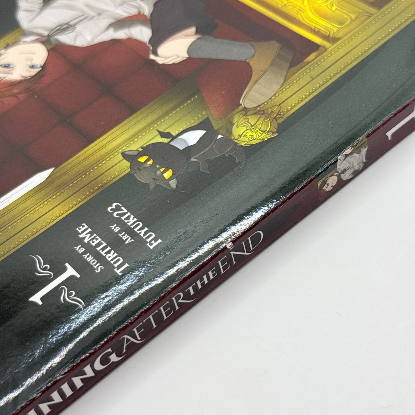 The Beginning After the End, Vol. 1 by TurtleMe & Fuyuki23