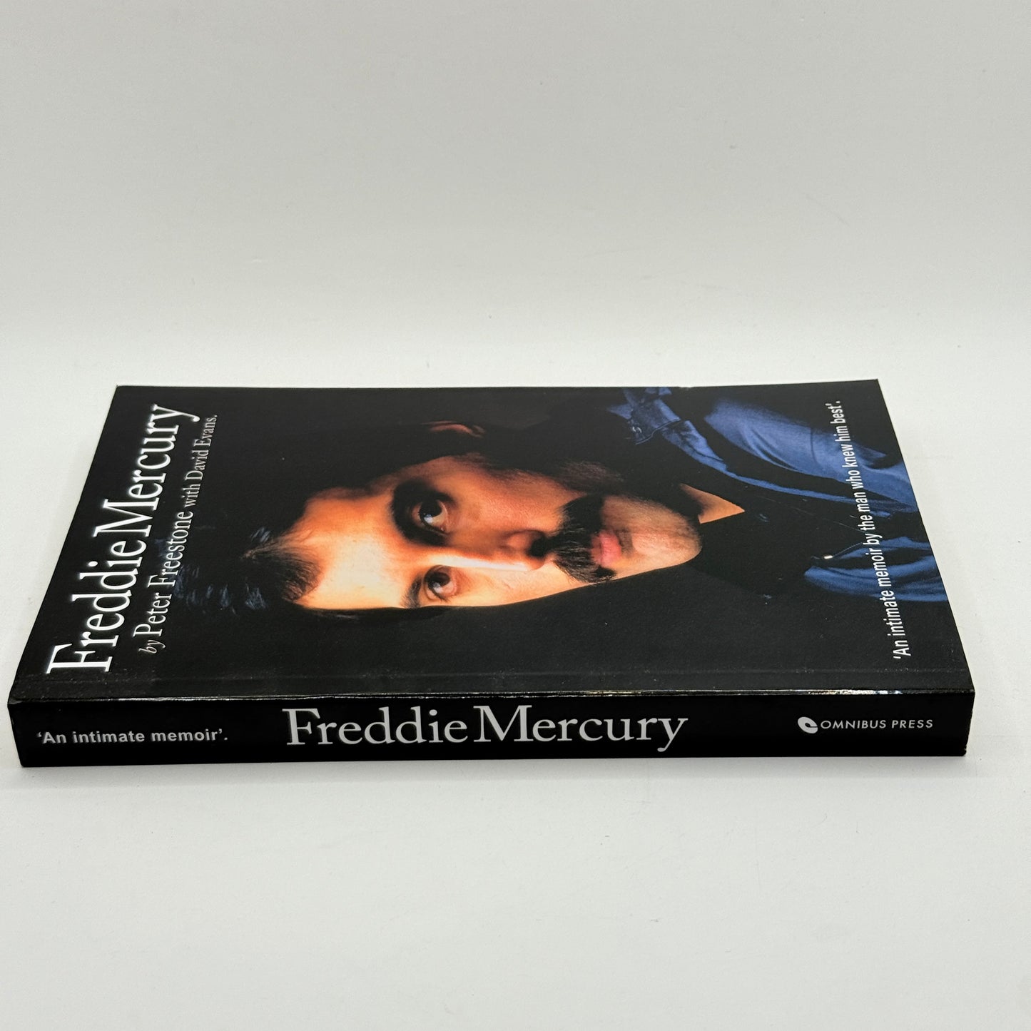 Freddie Mercury by Peter Freestone with David Evans