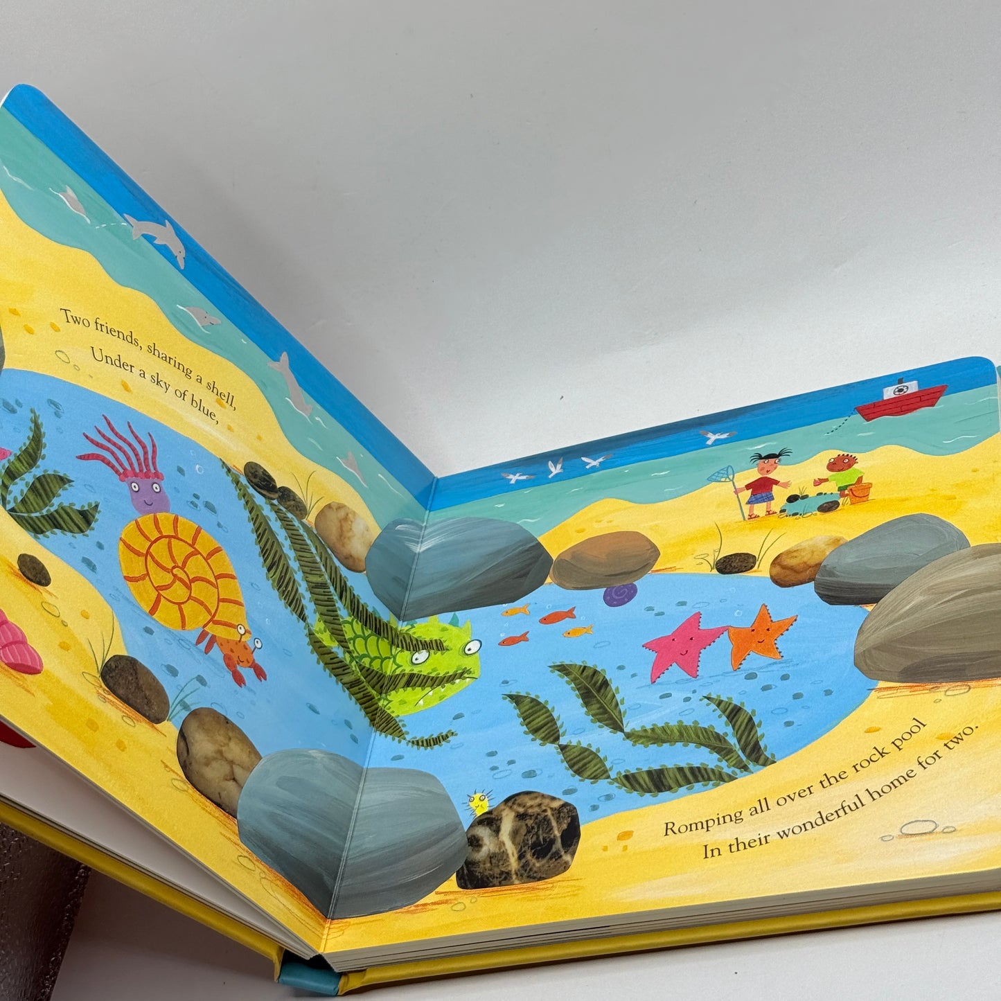 Sharing a Shell by Julia Donaldson & Lydia Monks