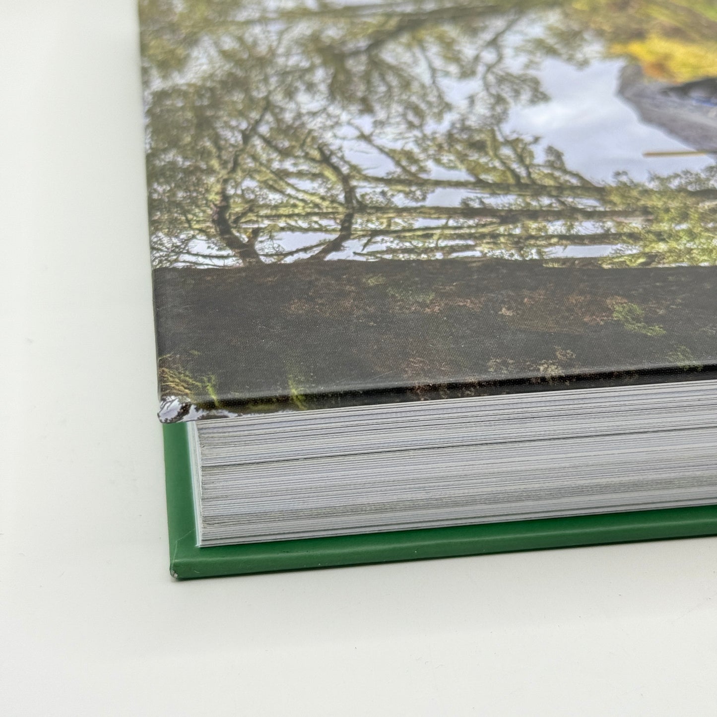 Wild Walks Aotearoa by Hannah-Rose Watt