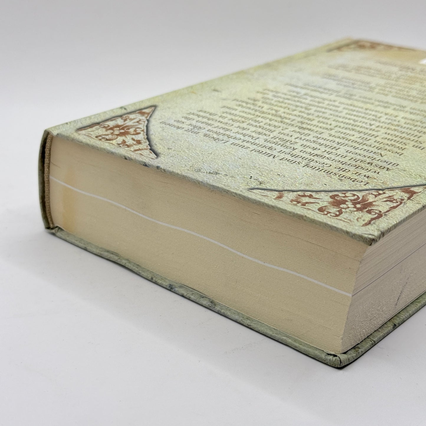 Die Ernährungs-Therapie der Hildegard von Bingen by Wighard Strehlow