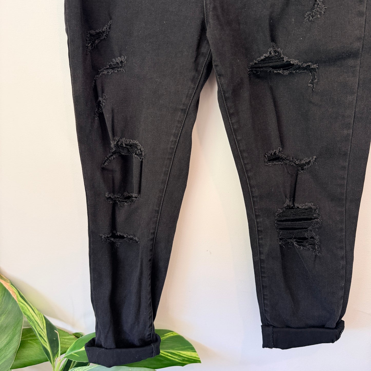 Glassons Size 14 Distressed Jeans