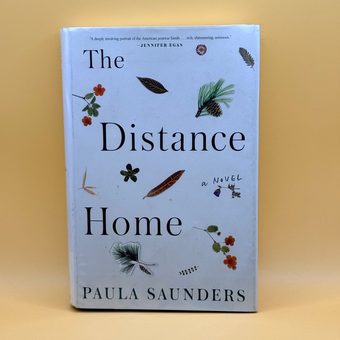 The Distance Home by Paula Saunders