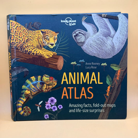 Animal Atlas by Anne Rooney and Lucy Rose