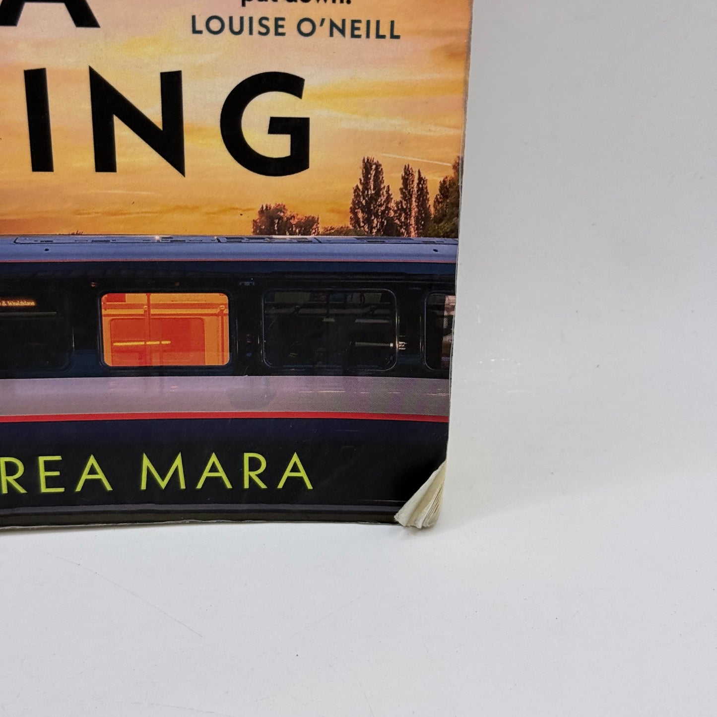 No One Saw a Thing by Andrea Mara