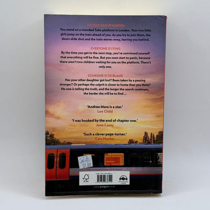 No One Saw a Thing by Andrea Mara