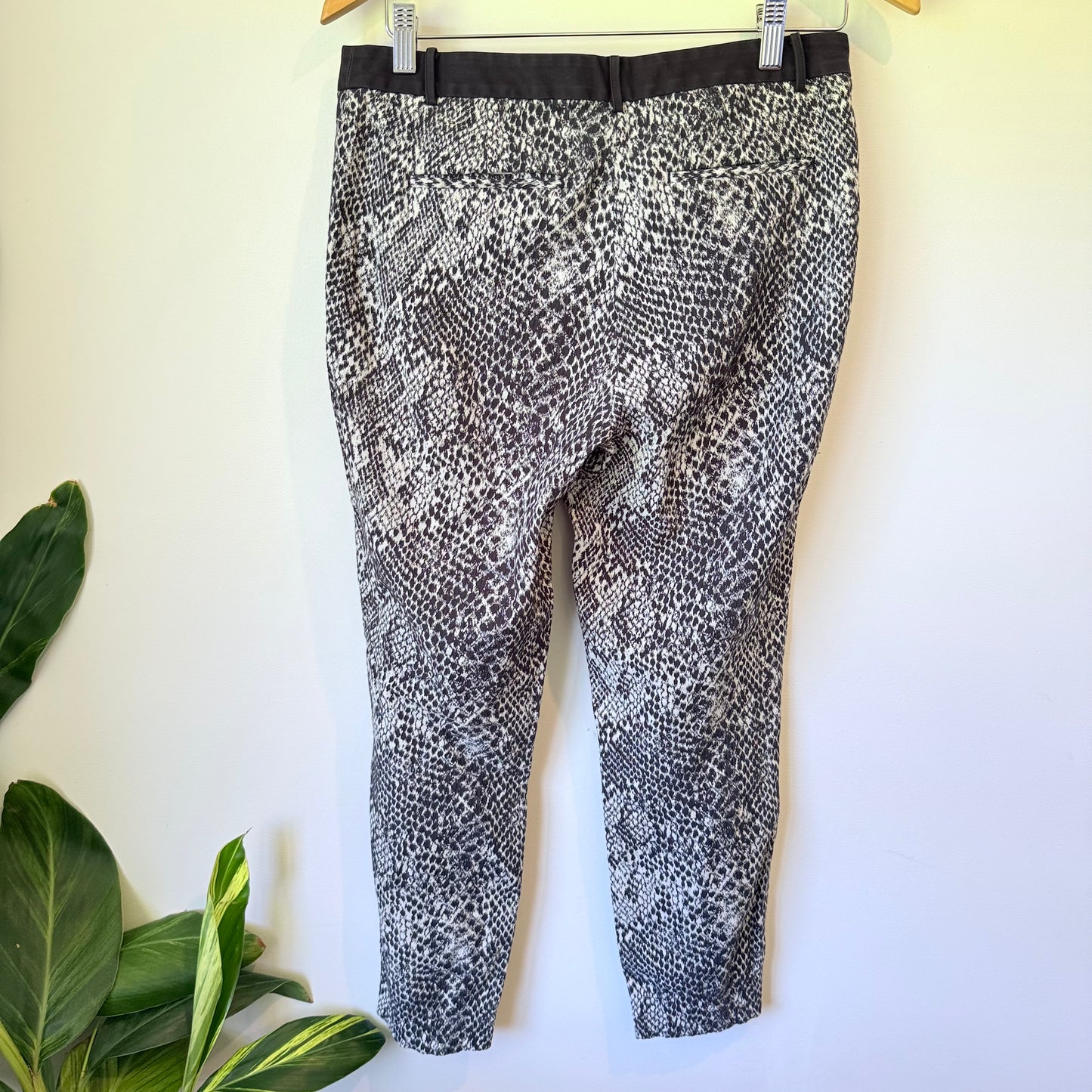Country Road Size 39 Python Print Pants